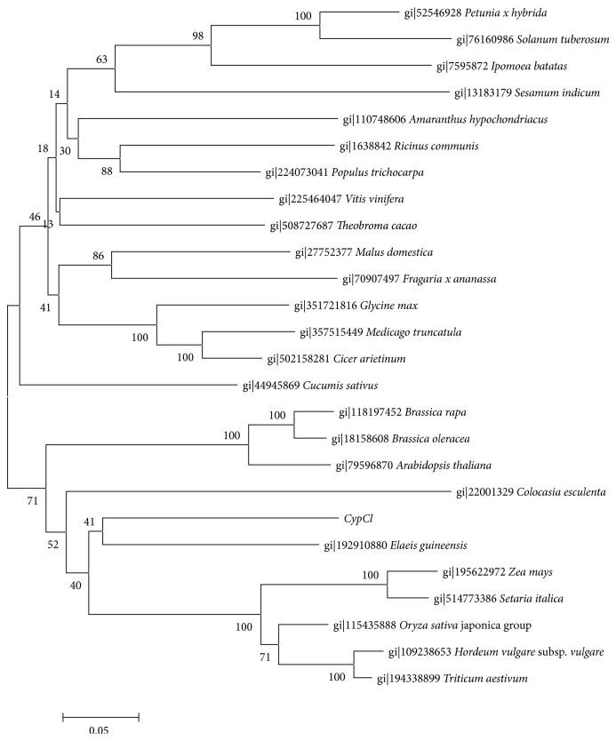 Figure 6