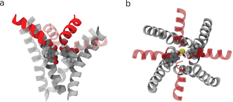 Figure 5—figure supplement 1.