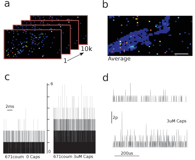 Figure 1—figure supplement 2.