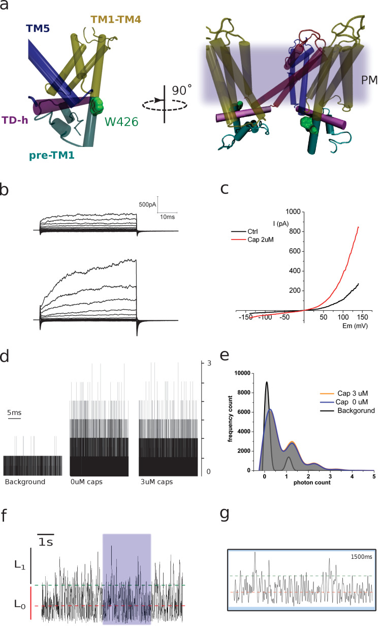 Figure 3—figure supplement 1.