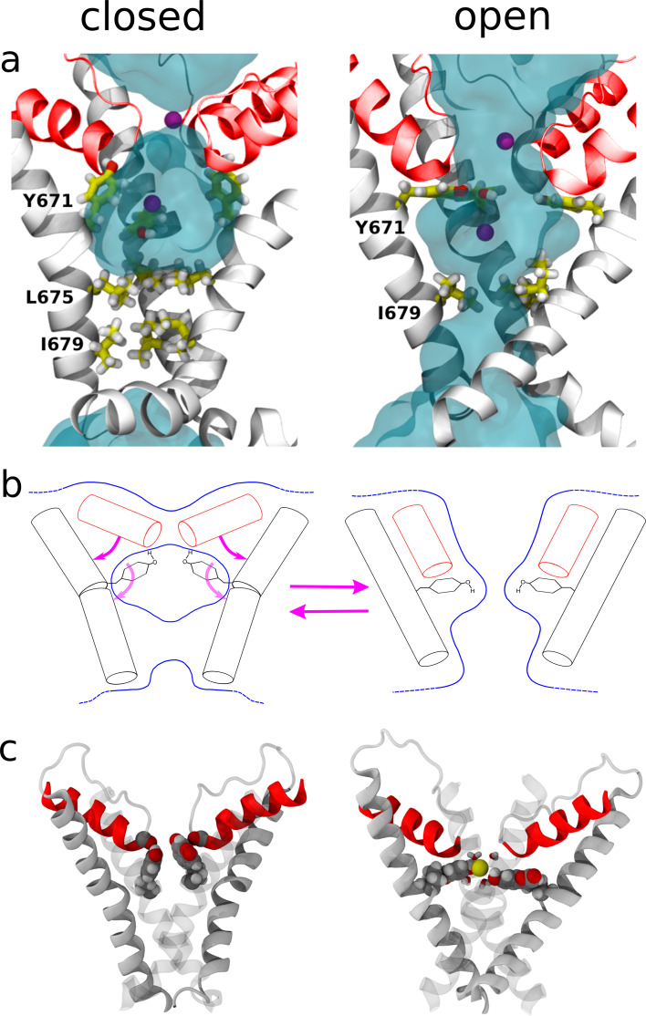 Figure 5.