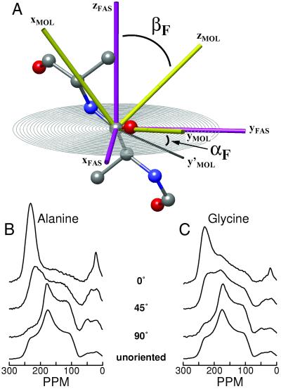 Fig 2.