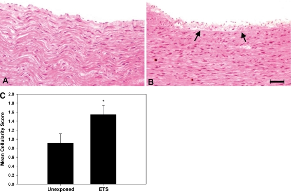 Fig. 7