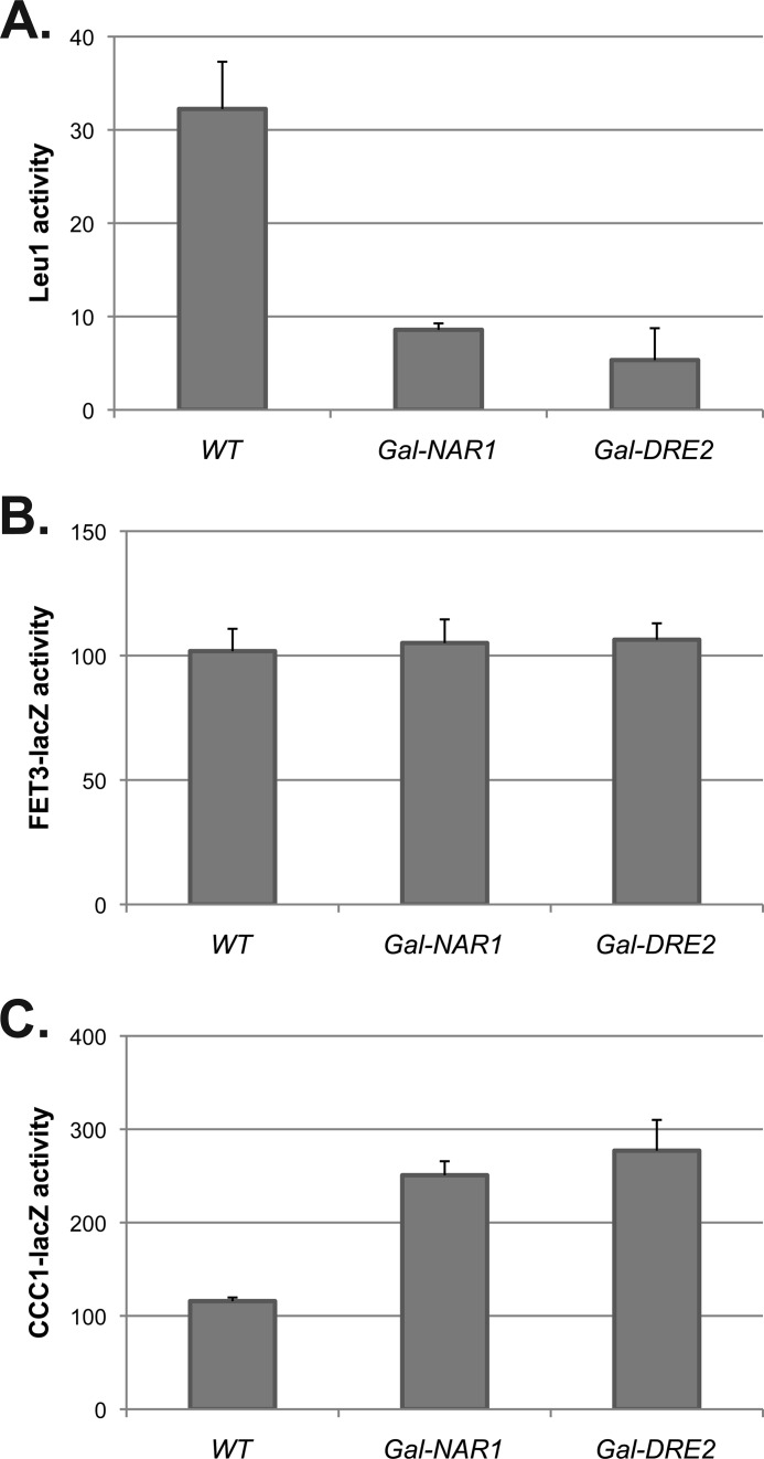 FIGURE 10.