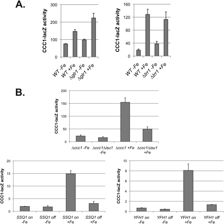 FIGURE 12.