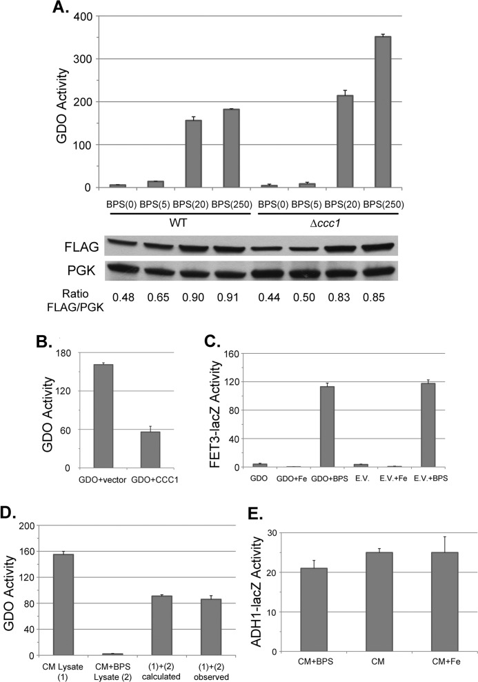 FIGURE 3.