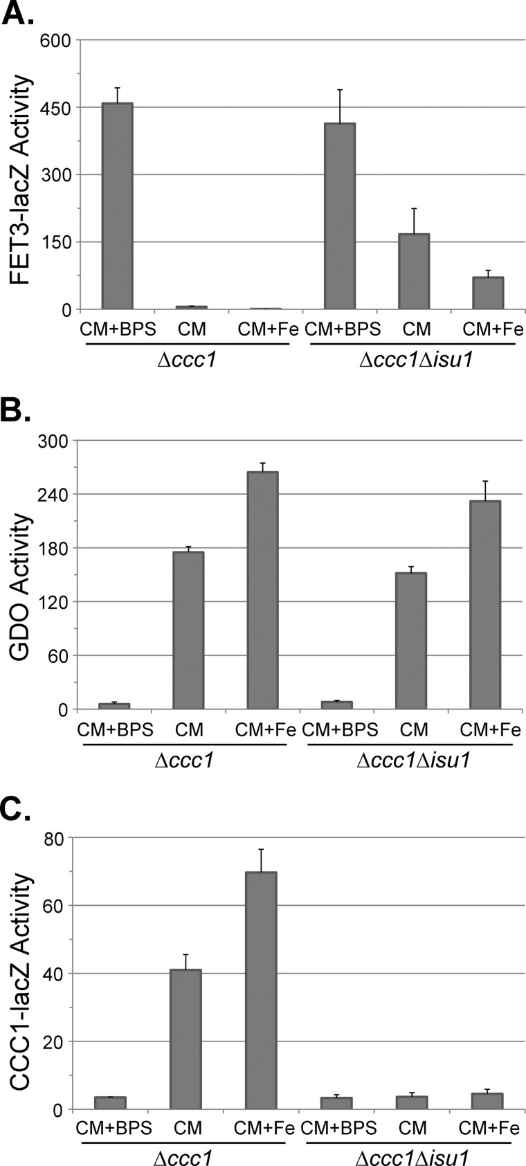 FIGURE 7.