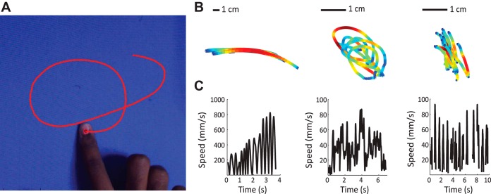 Fig. 1.