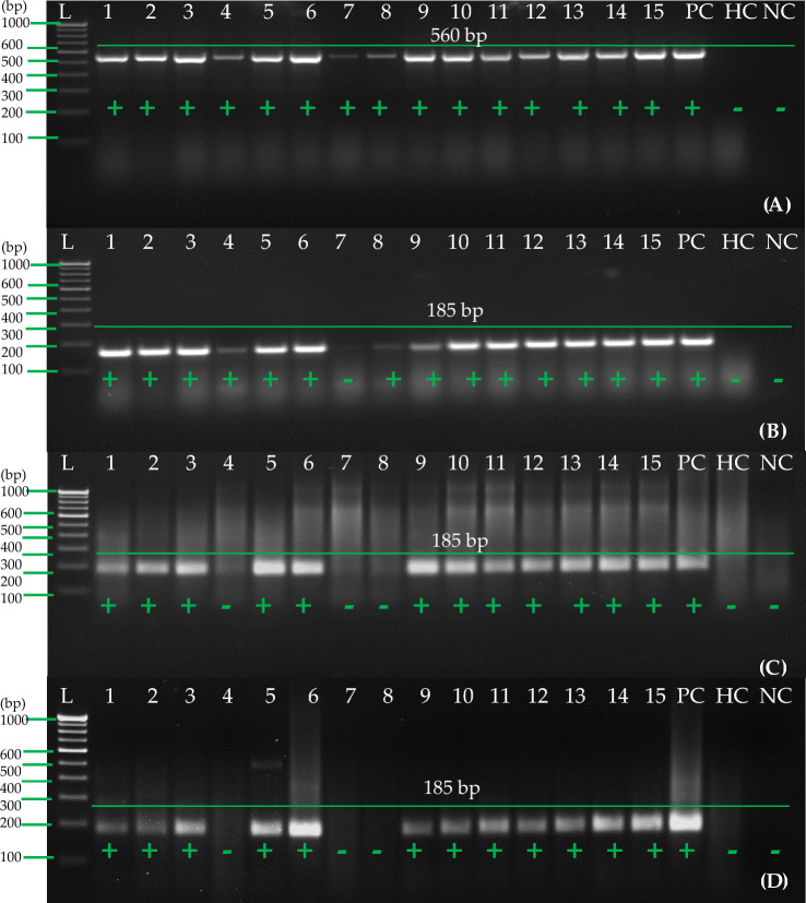 Fig. 11