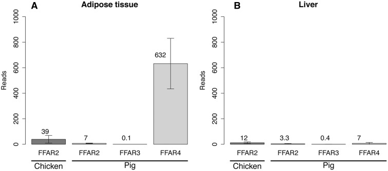 Fig. 6.—