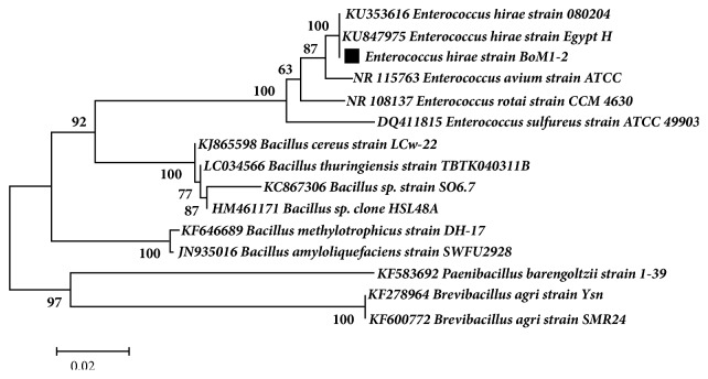 Figure 1