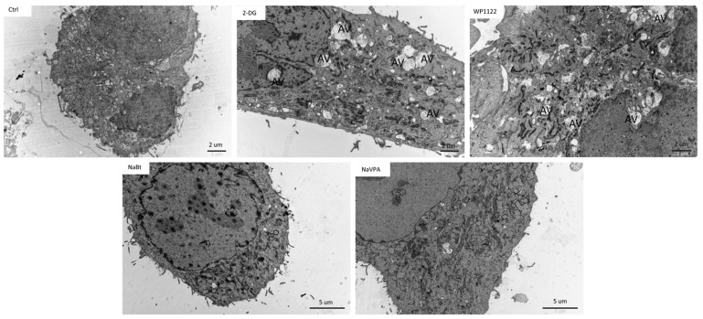 Figure 13