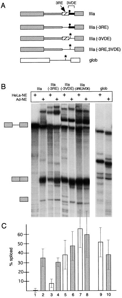 FIG. 6