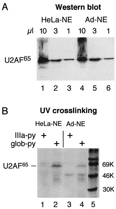 FIG. 7