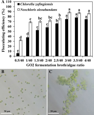 Fig. 7