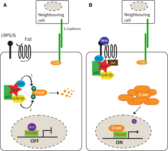 Fig. 2