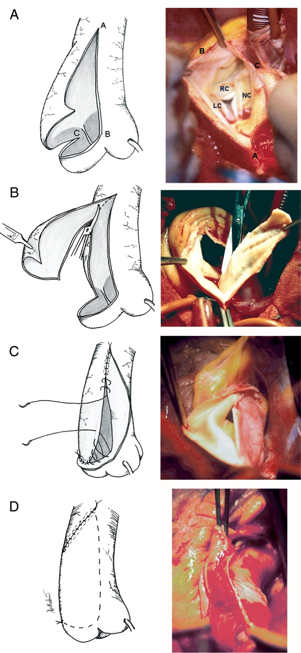 Figure 1: