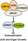 Figure 7.