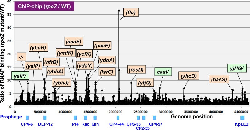 FIG 1 