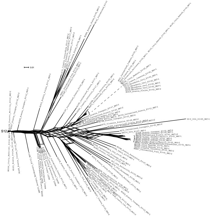Figure 3—figure supplement 1.