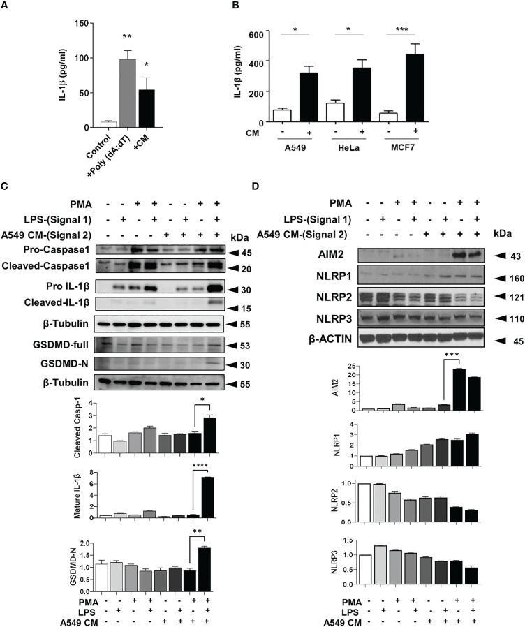 Figure 2