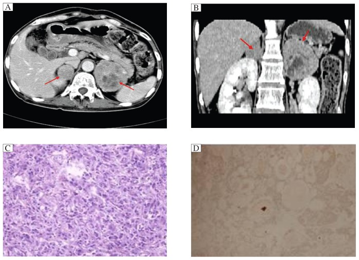 Fig. 2