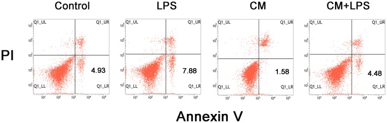 Figure 7