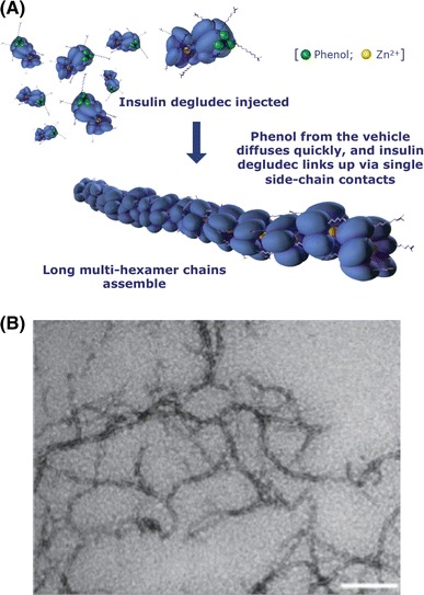 Fig. 2