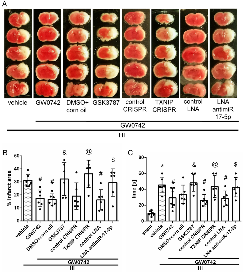 FIGURE 6: