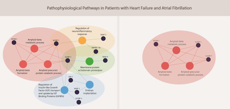 Graphical Abstract