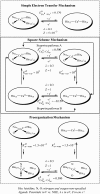Scheme 1.