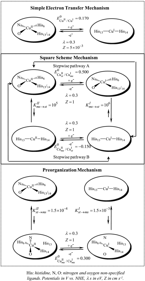 Scheme 1.