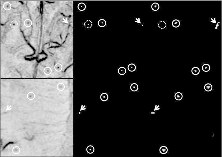 Fig. 4