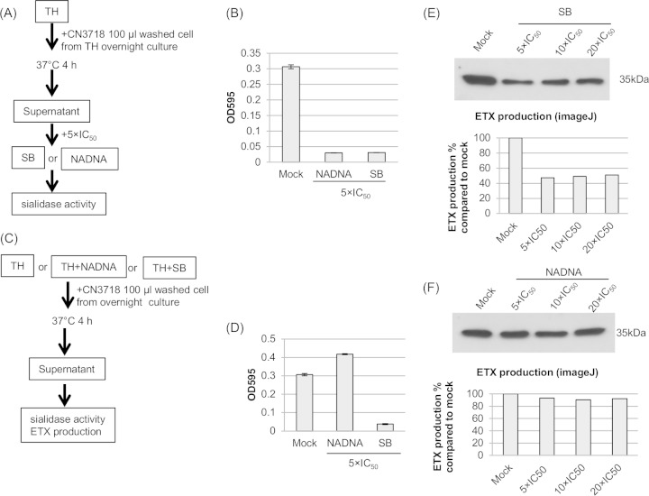 FIG 4