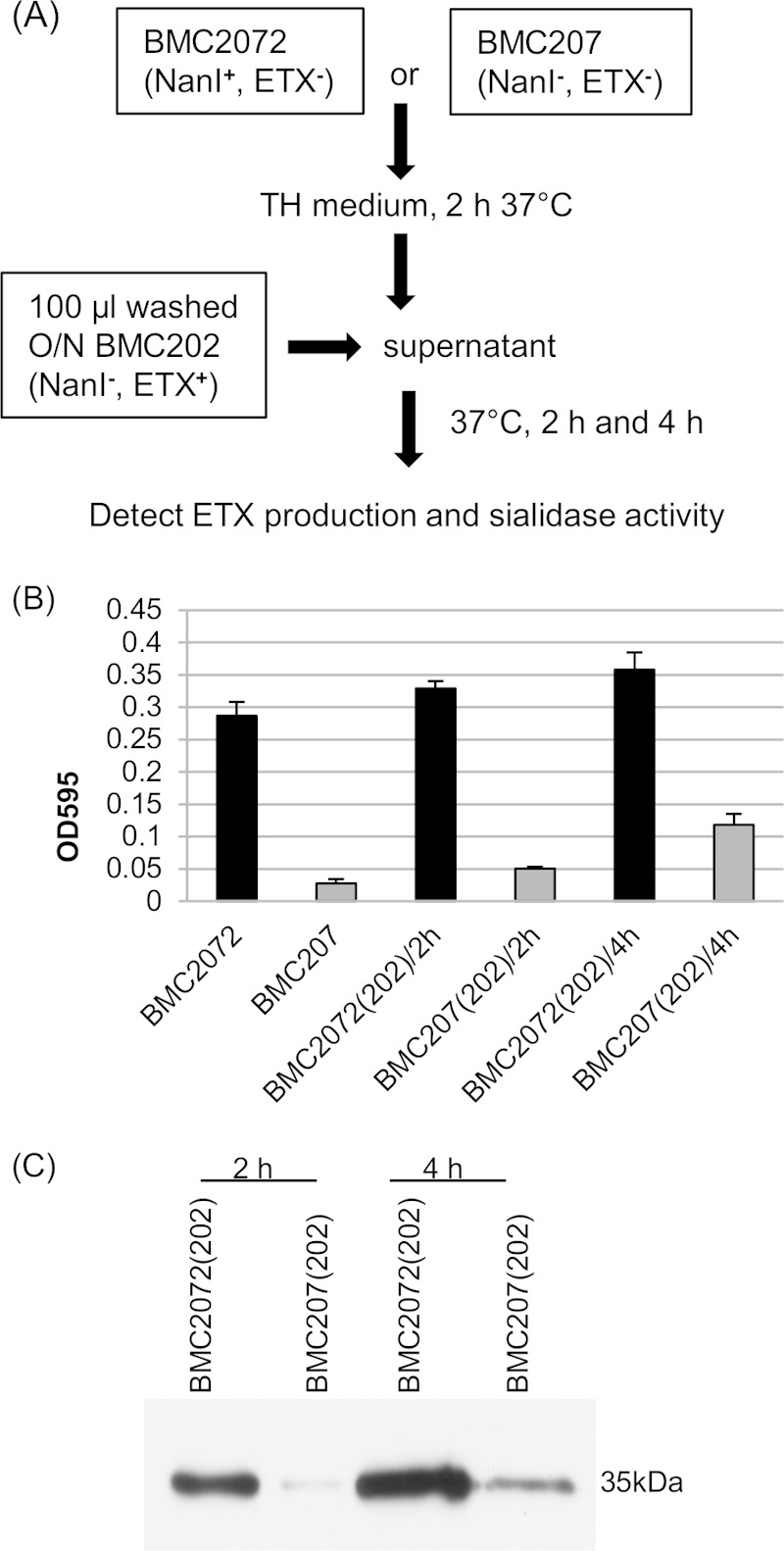 FIG 2