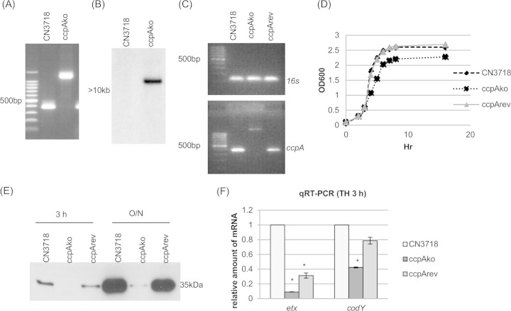 FIG 6