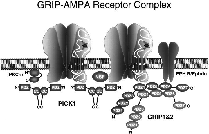 Fig. 9.