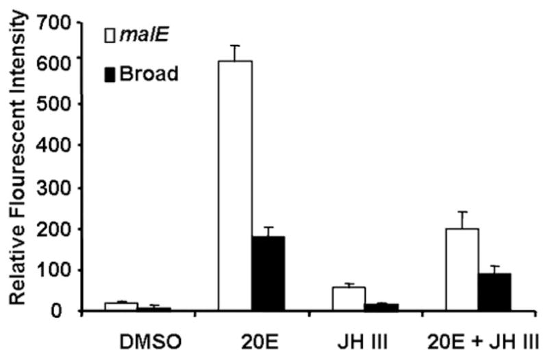 Fig. 11