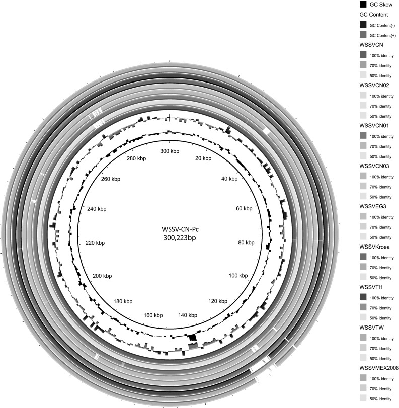 Fig. 4