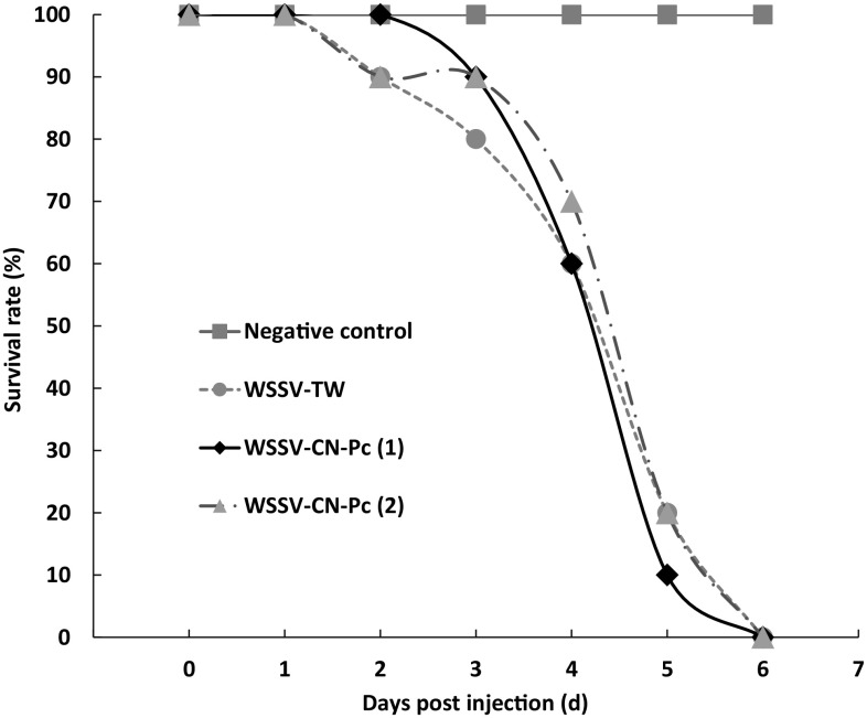 Fig. 6