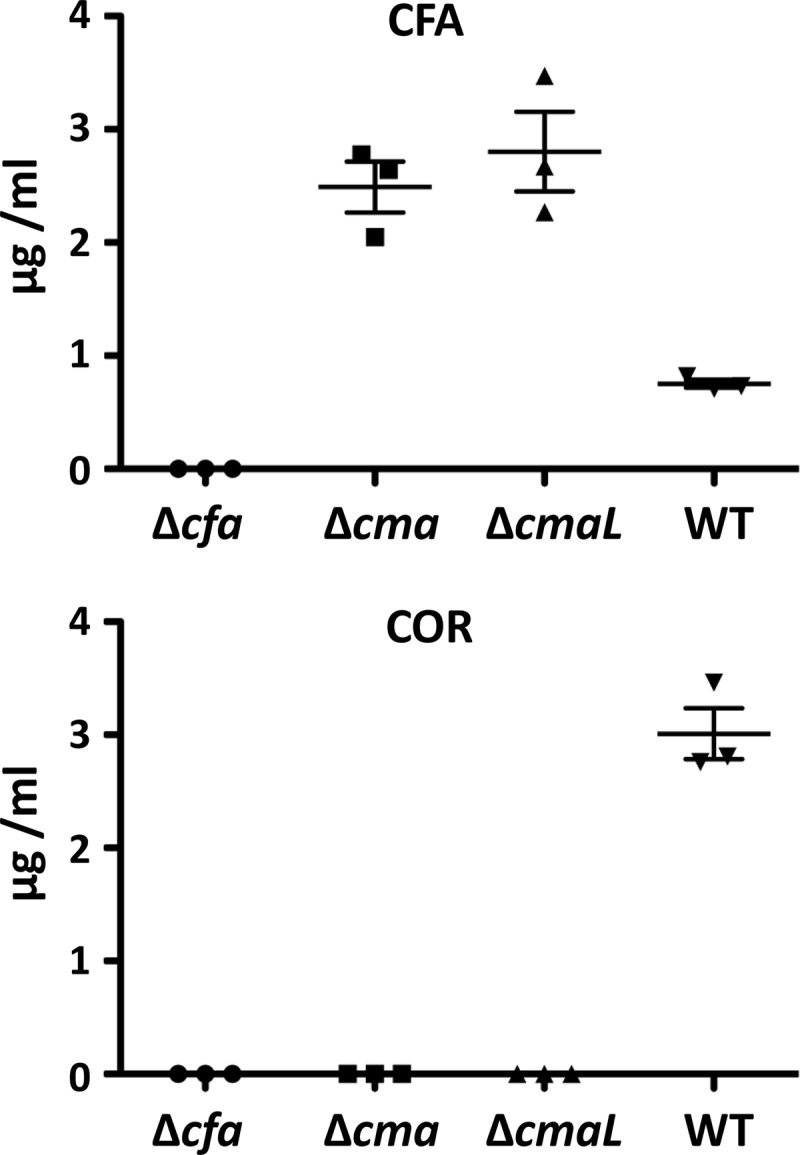 Fig 7