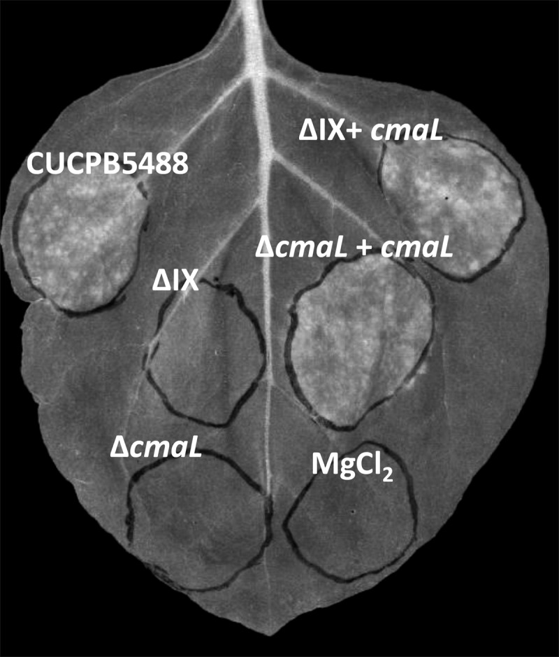 Fig 3