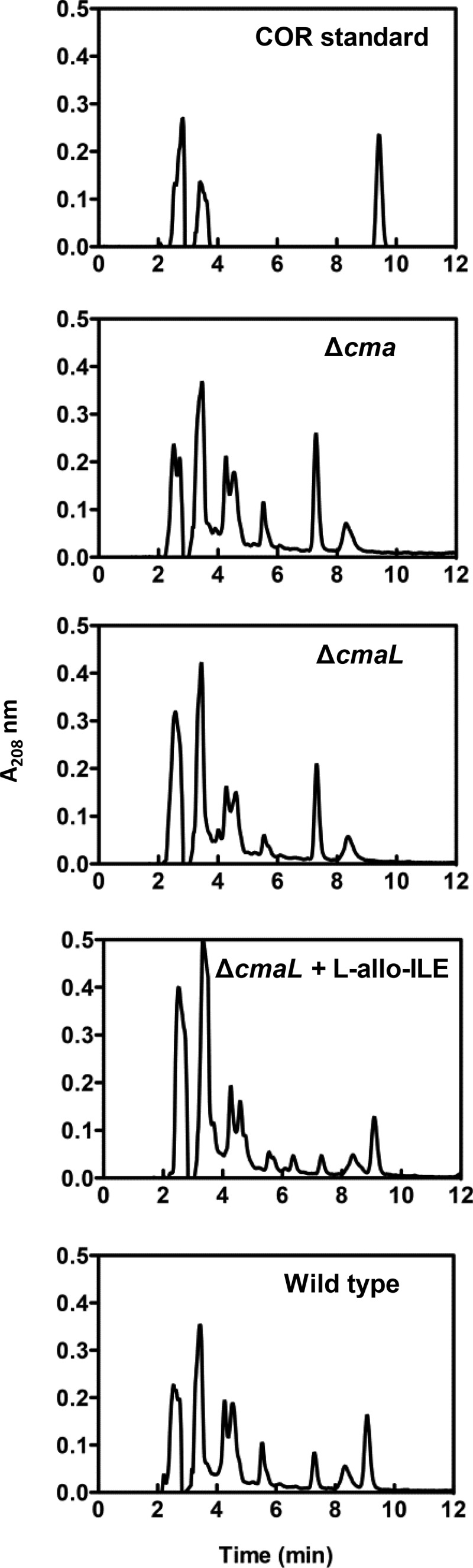 Fig 8