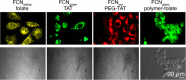 Figure 20