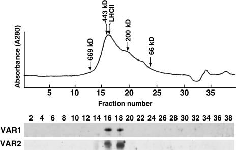 Figure 9.