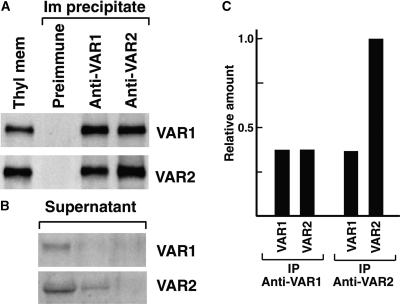 Figure 10.