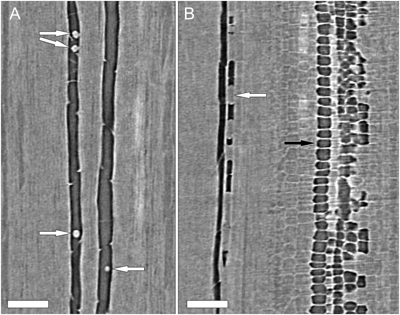 Figure 6.