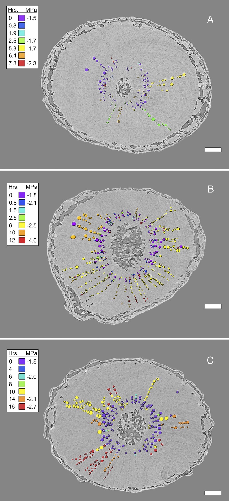 Figure 3.