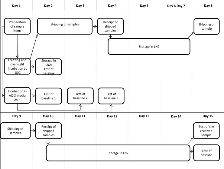 FIG. 2.