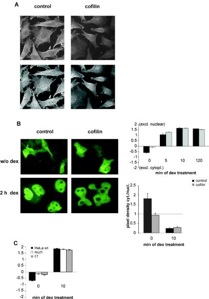 FIG. 8.